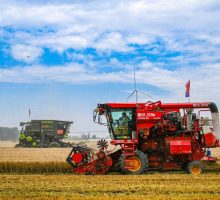Cina, per la prima volta il raccolto di cereali estivi supera 150 mln tonnellate