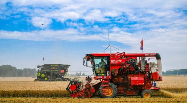 Cina, per la prima volta il raccolto di cereali estivi supera 150 mln tonnellate