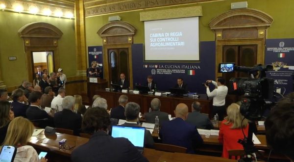 Olio, Lollobrigida “Più controlli contro le frodi e per tutelare il Made in Italy”
