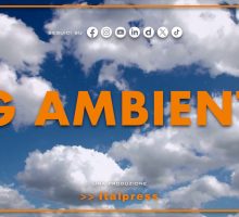 Tg Ambiente - 12/7/2026