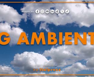 Tg Ambiente - 12/7/2026