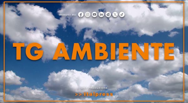 Tg Ambiente – 12/7/2026