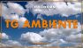 Tg Ambiente - 12/7/2026