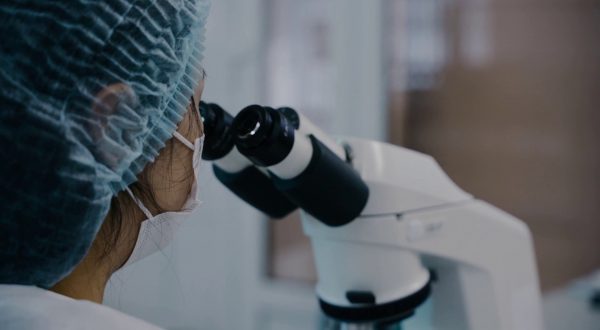 Lotta contro il cancro prioritaria per il G7