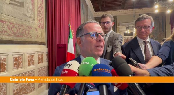 Inps, Fava “Sistema in equilibrio. Invecchiamento, denatalità e IA le sfide”