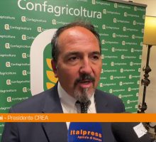 Rocchi (Crea) "Serve cambio di paradigma nella gestione del territorio"