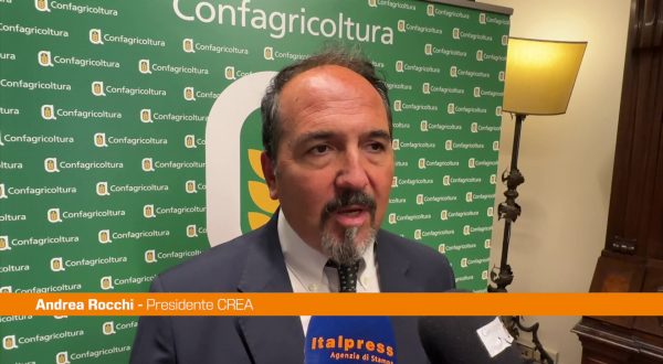Rocchi (Crea) “Serve cambio di paradigma nella gestione del territorio”