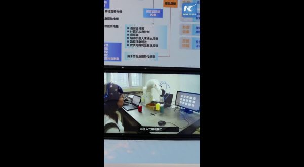 Cina, le interfacce cervello-computer non sono più fantascienza