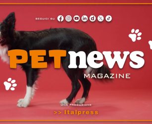 PetNews Magazine - 9/7/2026