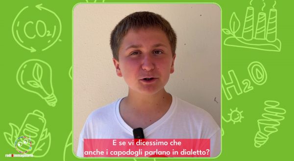 I capodogli del Mediterraneo parlano in dialetto