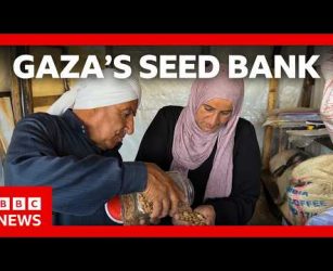 Farming to survive after two years of war | BBC News