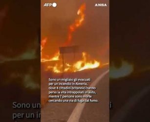Maxi rogo in Spagna, le vittime intrappolate in auto durante la fuga: almeno 11 morti #ansa