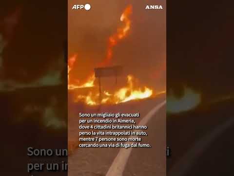 Maxi rogo in Spagna, le vittime intrappolate in auto durante la fuga: almeno 11 morti #ansa