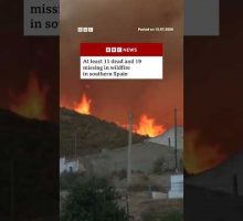 At least 11 dead in Spain wildfire as crews battle to contain blaze. #BBC News