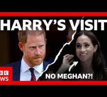 Was Prince Harry&rsquo;s UK visit more trouble than it was worth? | BBC News