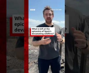 What is left at the epicentre of Spain&rsquo;s devastating wildfires? #Spain #BBCNews