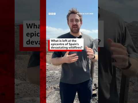 What is left at the epicentre of Spain&rsquo;s devastating wildfires? #Spain #BBCNews