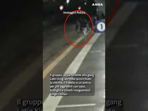 La polizia arresta altri 6 Latin King per l&rsquo;omicidio in stazione a Milano #ansa