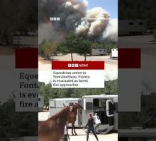 Equestrian centre in Fontainebleau, France, evacuated as forest fire approaches. #Wildfires #BBCNews