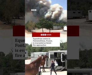 Equestrian centre in Fontainebleau, France, evacuated as forest fire approaches. #Wildfires #BBCNews