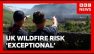 UK at 'exceptional' risk of wildfires as two arrested over fires in France | BBC News