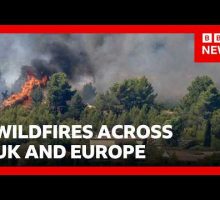 Wildfires burn in UK and Europe as heatwaves continue | BBC News