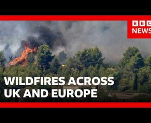 Wildfires burn in UK and Europe as heatwaves continue | BBC News