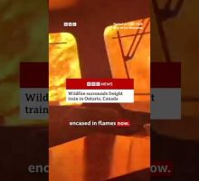 The workers seen in the video were able to escape and are safe. #BBCNews