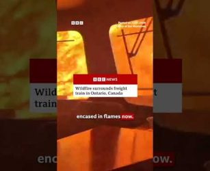 The workers seen in the video were able to escape and are safe. #BBCNews