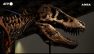 Record da Sotheby's per Gus Rex, uno dei T-Rex piu' grandi del mondo1