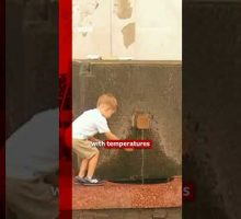 France records 2,025 excess deaths at peak of heatwave. #France #Heatwave #BBCNews
