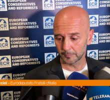 Ue, Procaccini "Opportuno allentare regole di bilancio per favorire crescita"