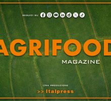 Agrifood Magazine - 1/7/2026