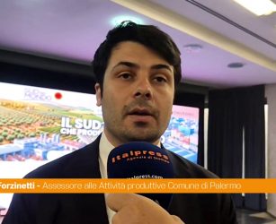 Energia, Forzinetti "Tema fondamentale per l'ambiente e la politica industriale"
