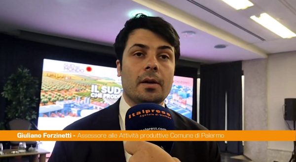 Energia, Forzinetti “Tema fondamentale per l’ambiente e la politica industriale”