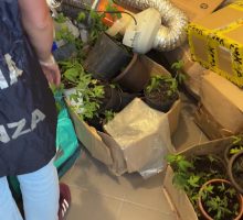 Sequestrati 100 kg tra hashish e marijuana nel Catanese, 3 arresti