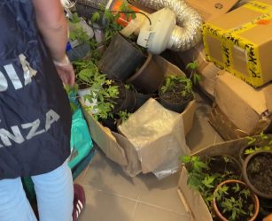 Sequestrati 100 kg tra hashish e marijuana nel Catanese, 3 arresti