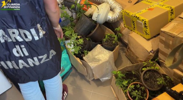 Sequestrati 100 kg tra hashish e marijuana nel Catanese, 3 arresti