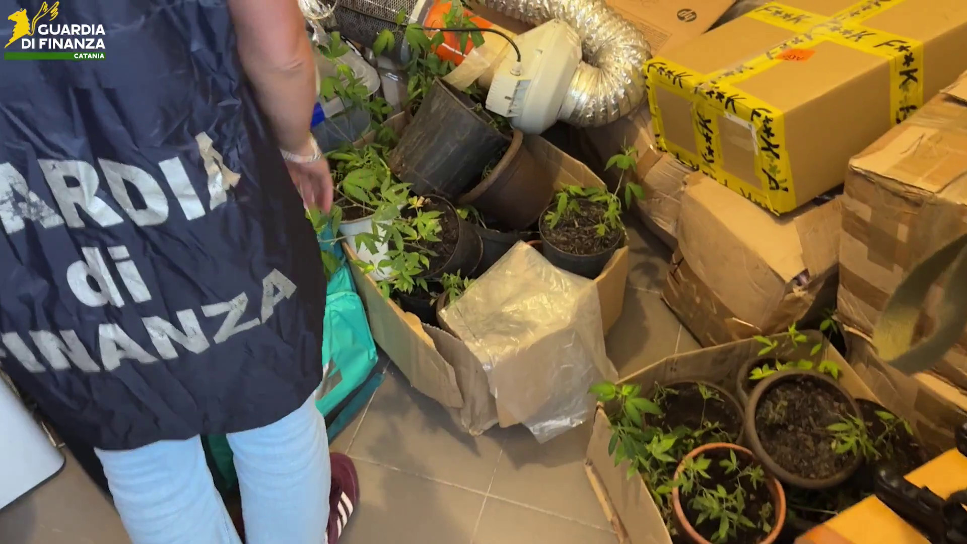 Sequestrati 100 kg tra hashish e marijuana nel Catanese, 3 arresti
