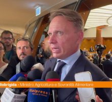 Export, Lollobrigida "Con ICE stiamo facendo un lavoro eccezionale"