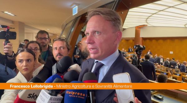 Export, Lollobrigida “Con ICE stiamo facendo un lavoro eccezionale”