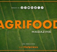 Agrifood Magazine - 15/7/2026