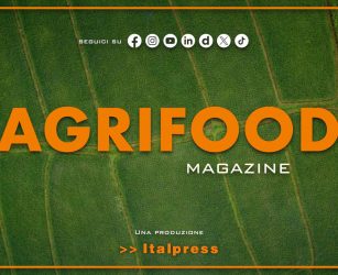 Agrifood Magazine - 8/7/2026